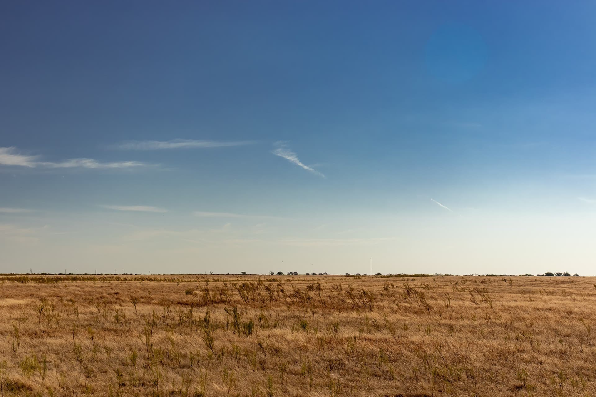 171 acres in Callahan County - photo 12