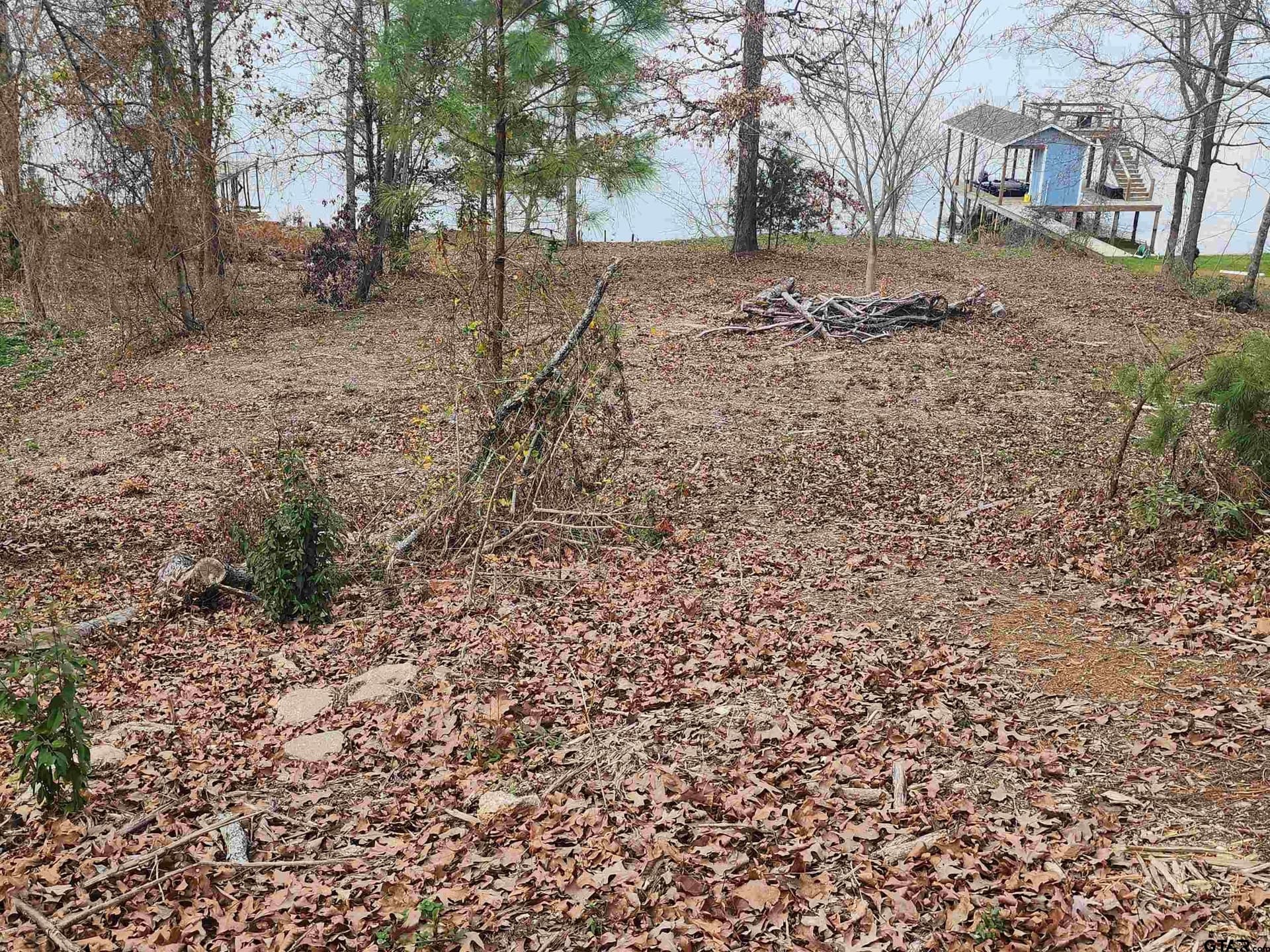 1 acres in Camp County featured view