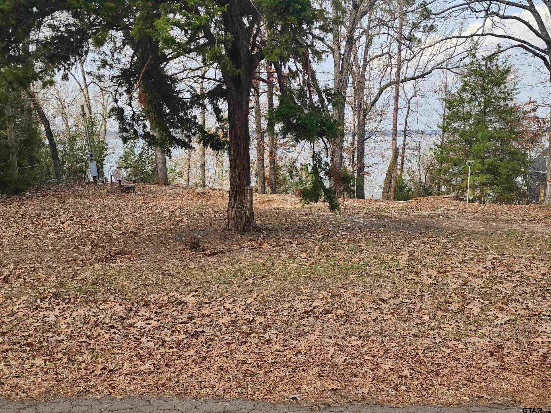 1 acres in Camp County gallery image 3