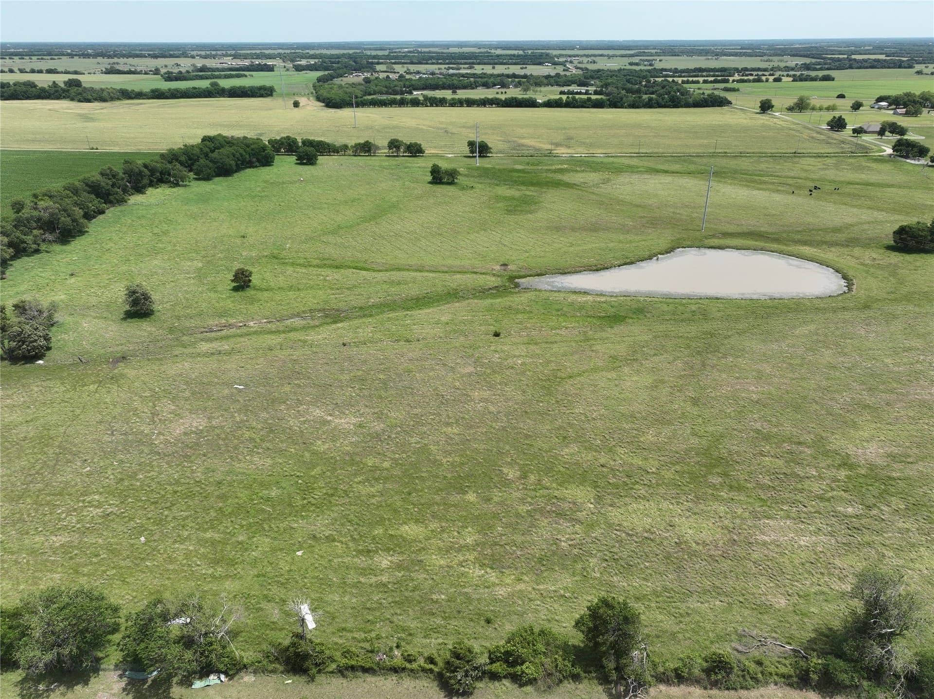 13 acres in Fannin County gallery image 4