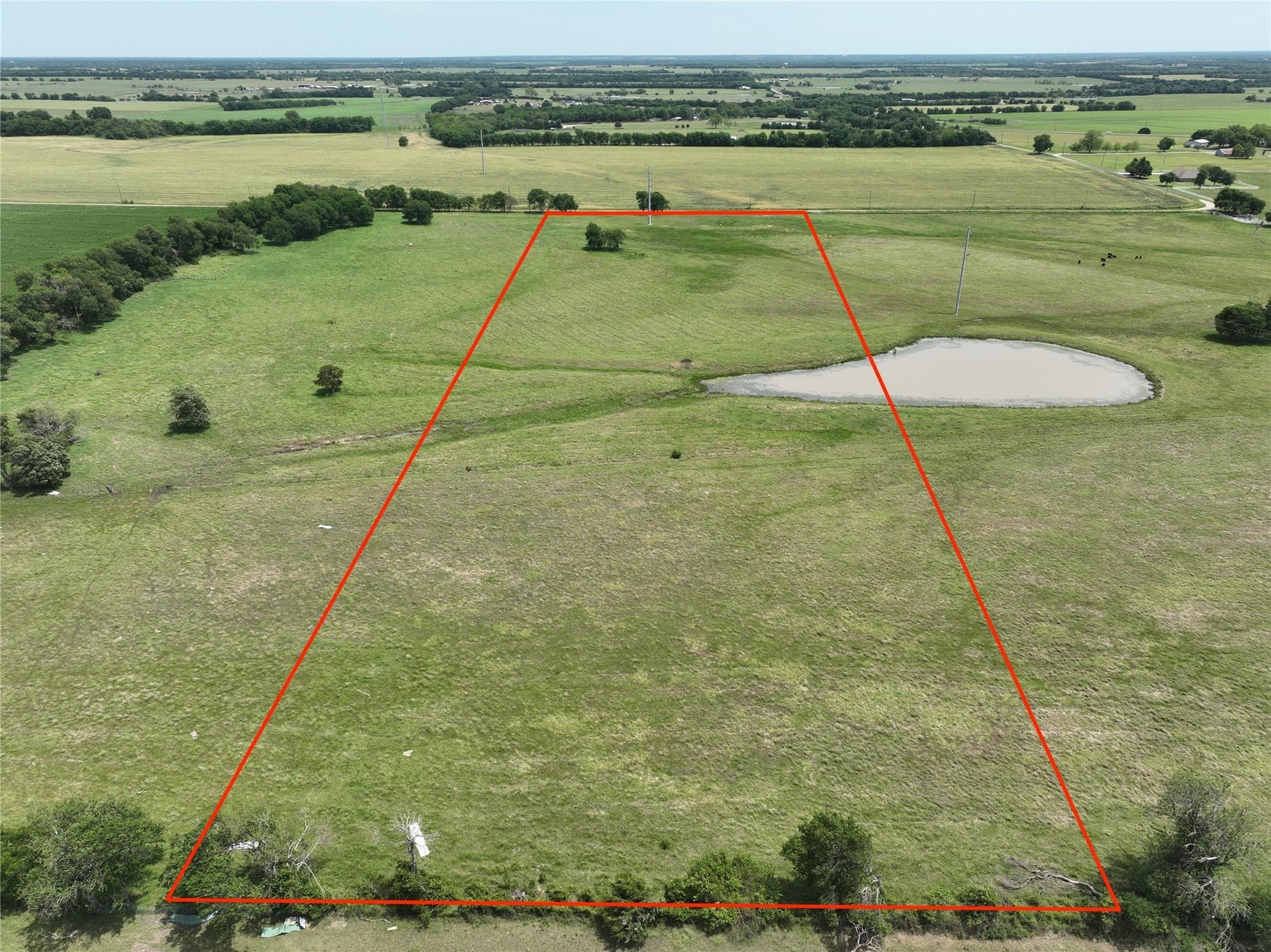 13 acres in Fannin County gallery image 3
