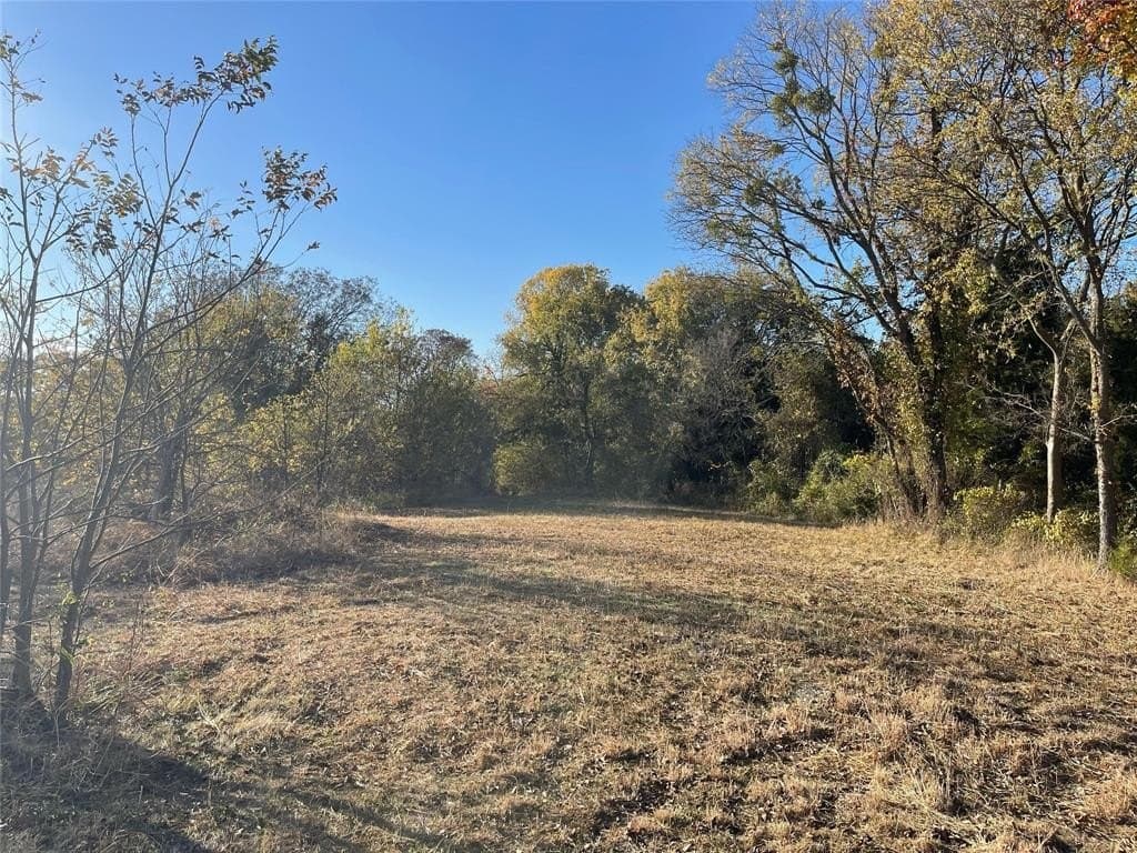 3 acres in Dallas County gallery image 3