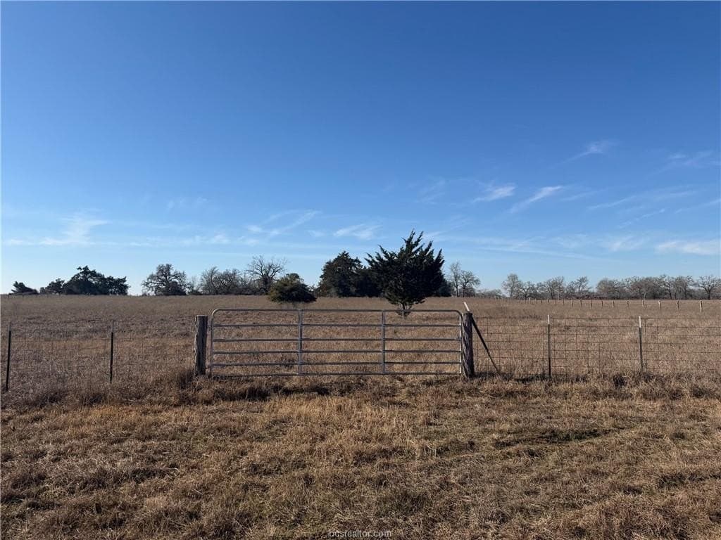 5 acres in Burleson County gallery image 2
