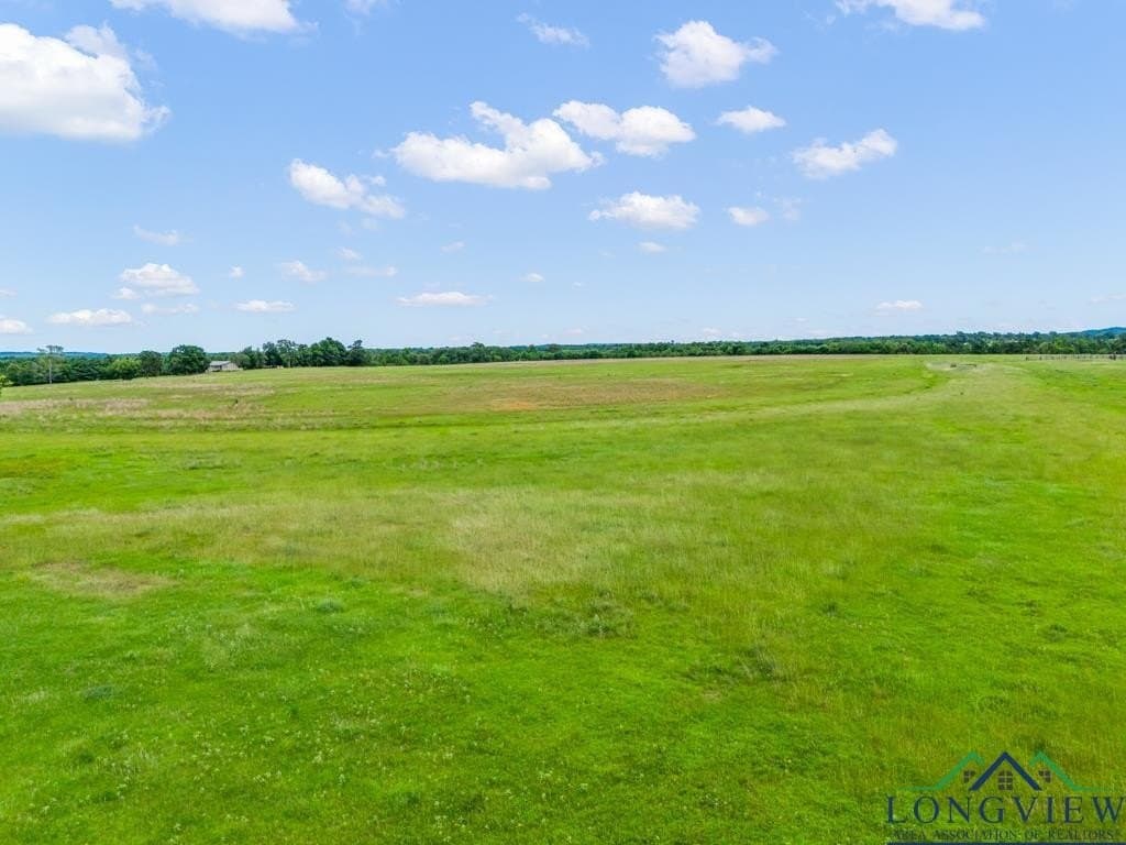 30 acres in Upshur County gallery image 2