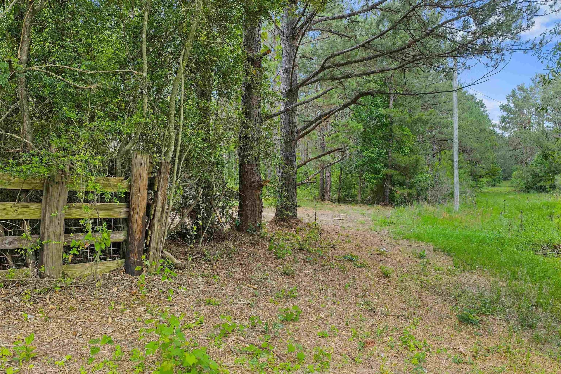 64.27 acres in Shelby County - photo 15