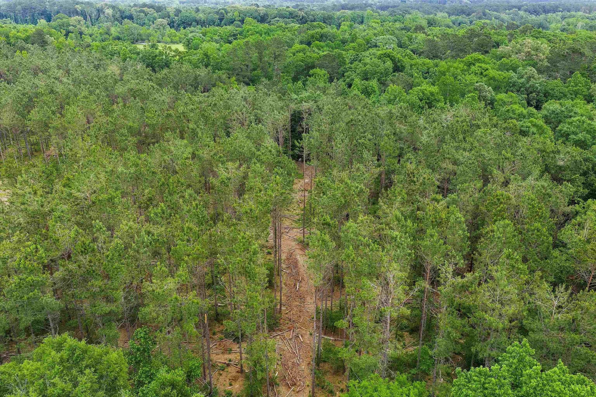 64.27 acres in Shelby County - photo 9