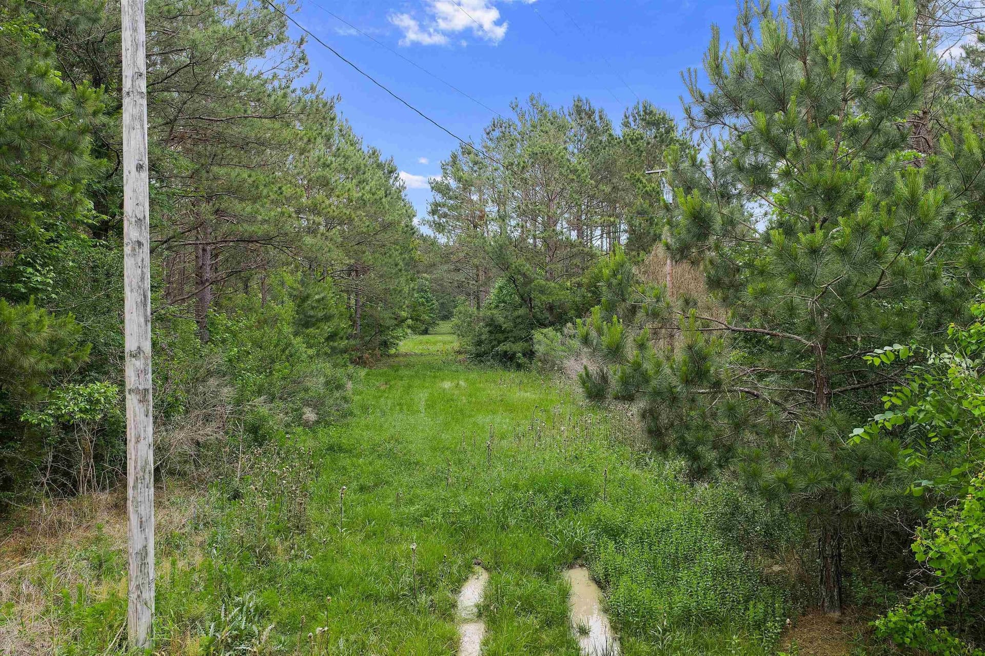 64.27 acres in Shelby County - photo 13