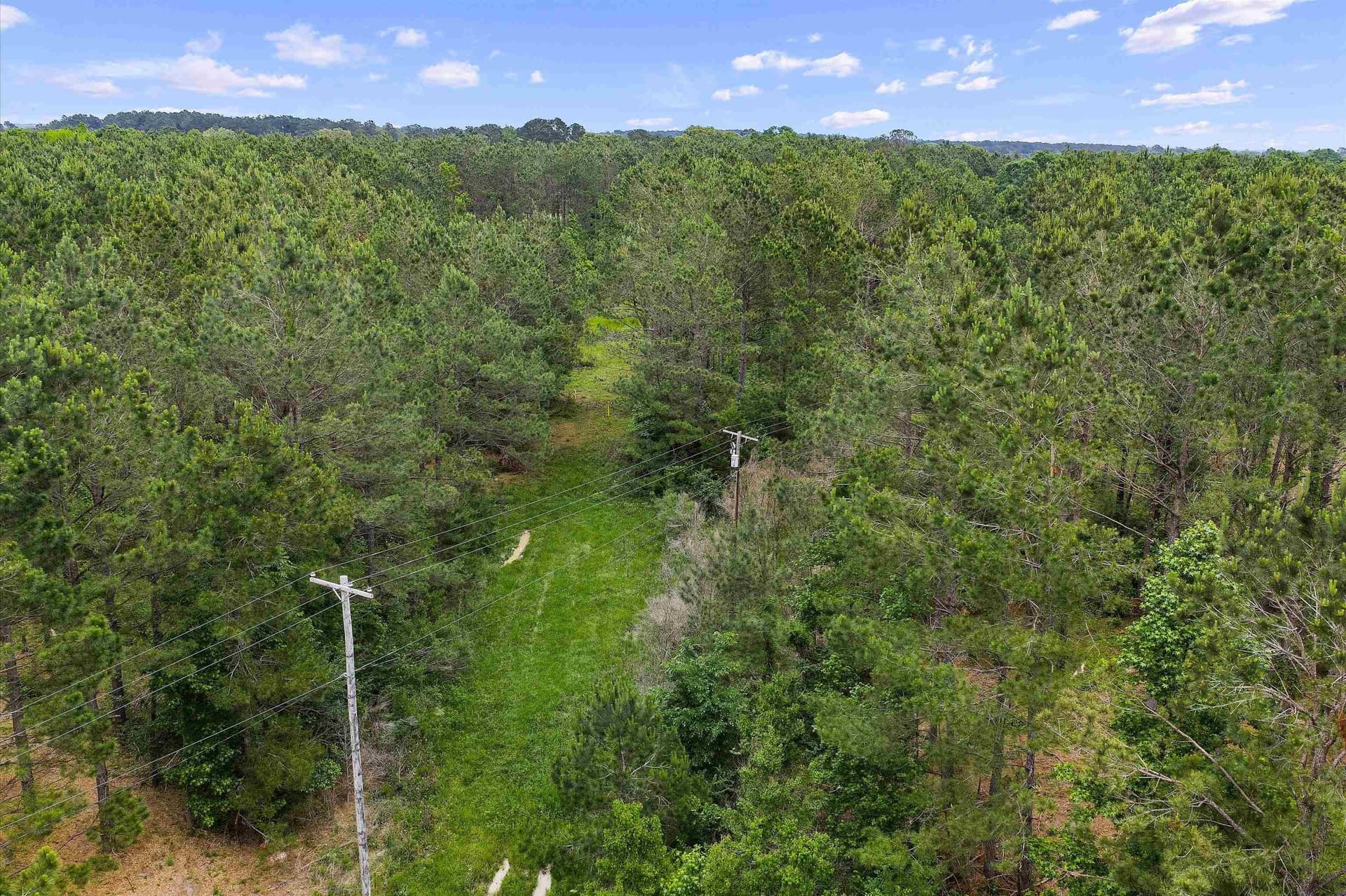 64.27 acres in Shelby County - photo 11