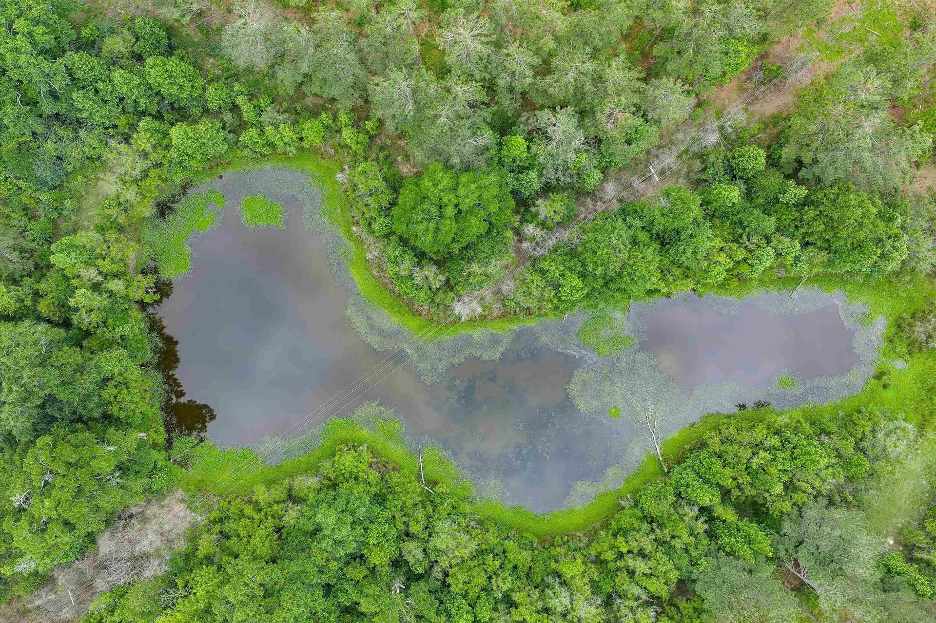 64.27 acres in Shelby County - photo 6