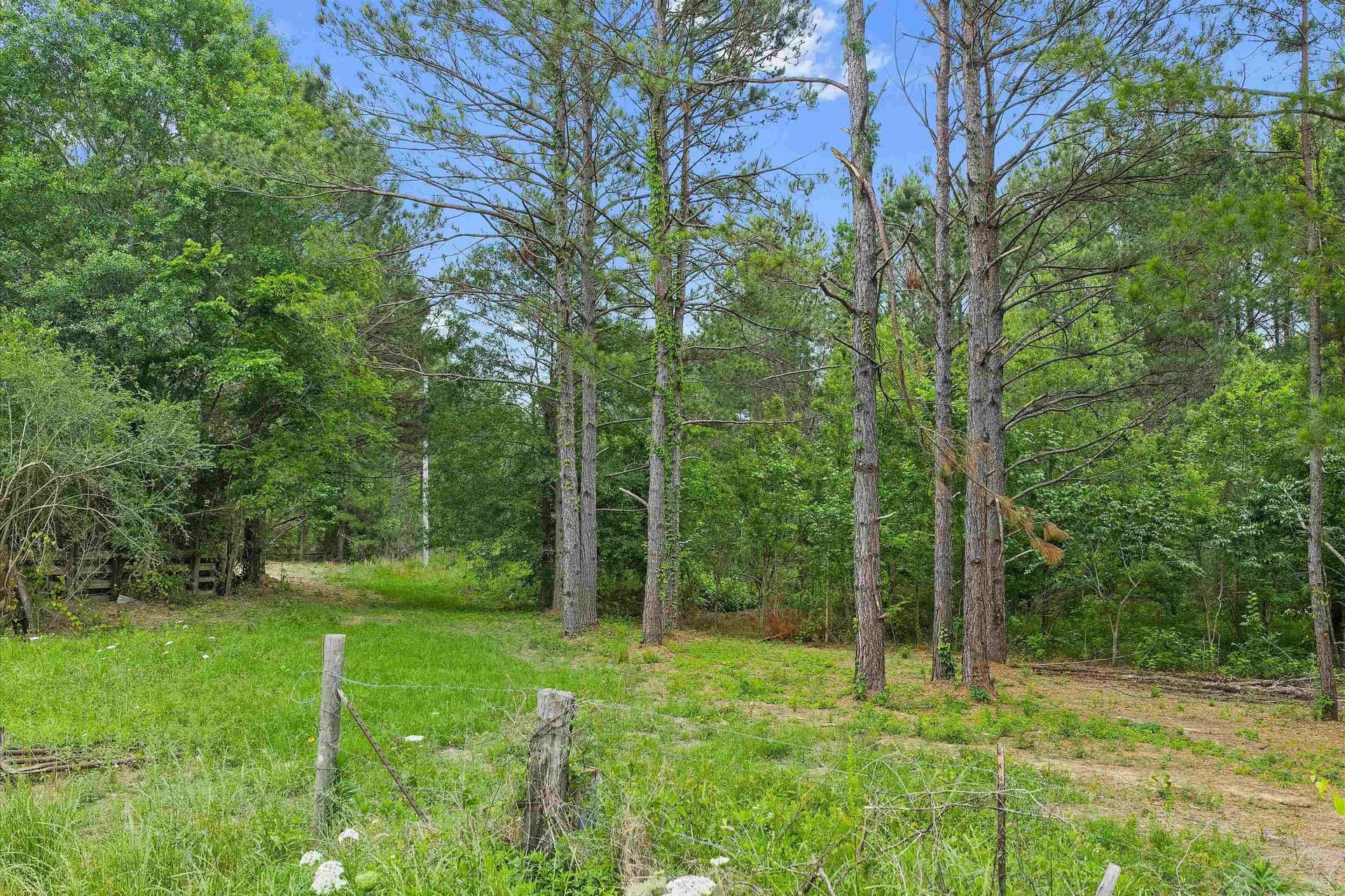 64.27 acres in Shelby County - photo 16