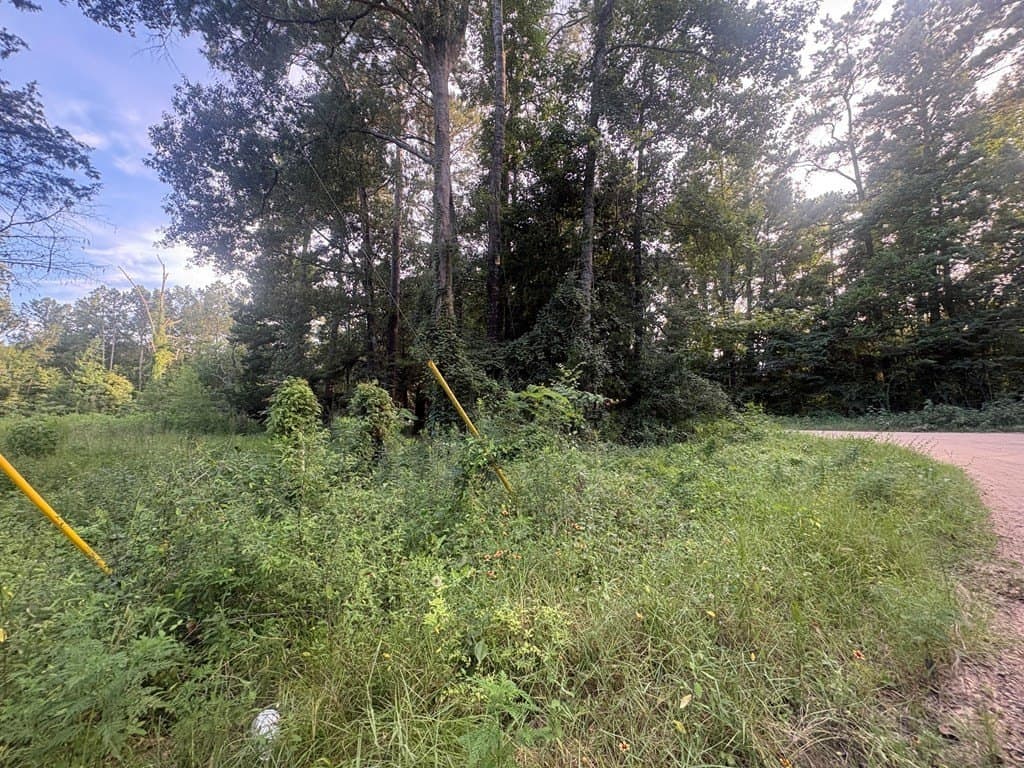 0.57 acres in Texas County - photo 7