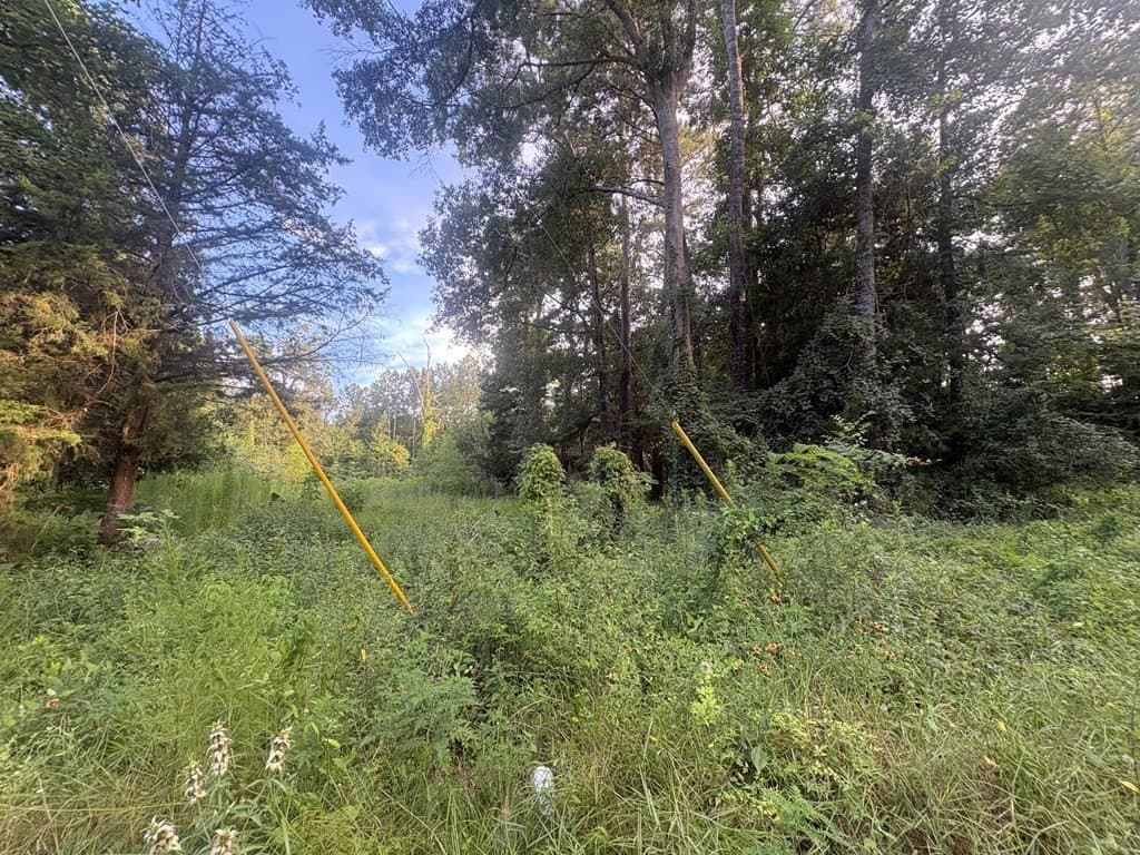 0.57 acres in Texas County - photo 6