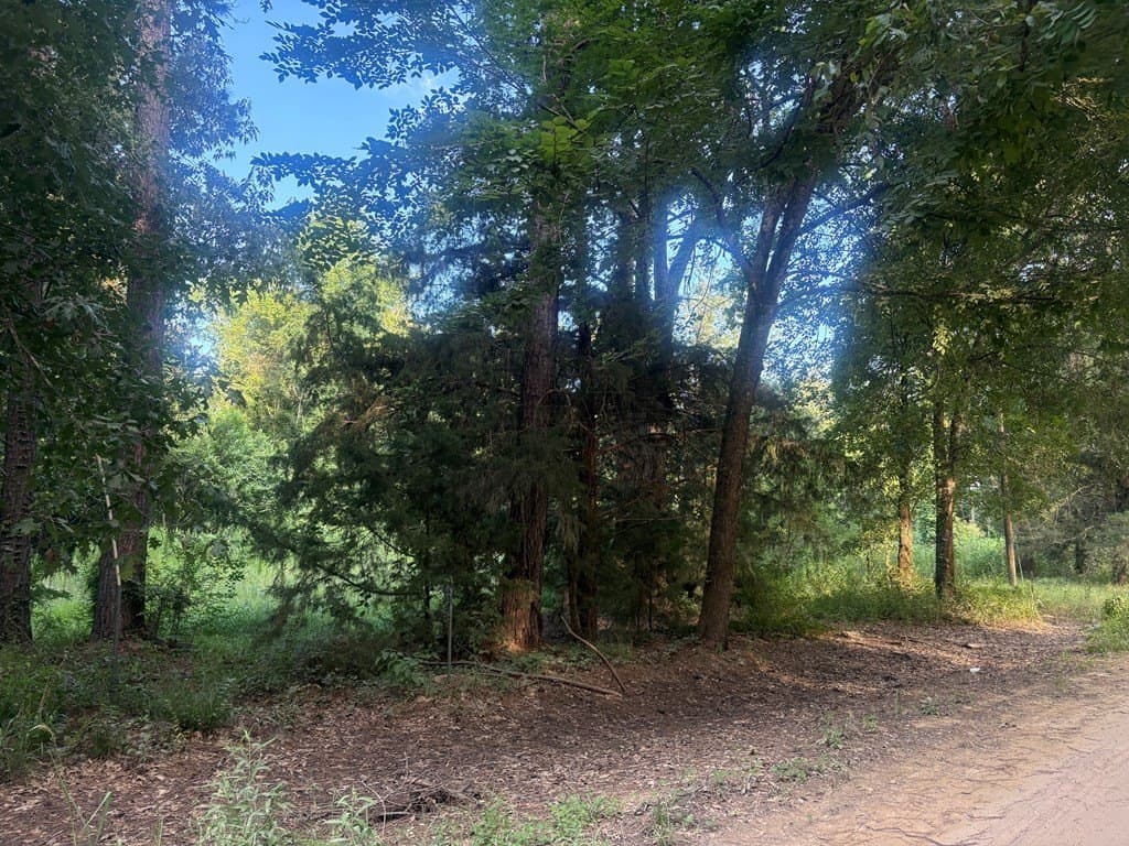 0.57 acres in Texas County gallery image 4