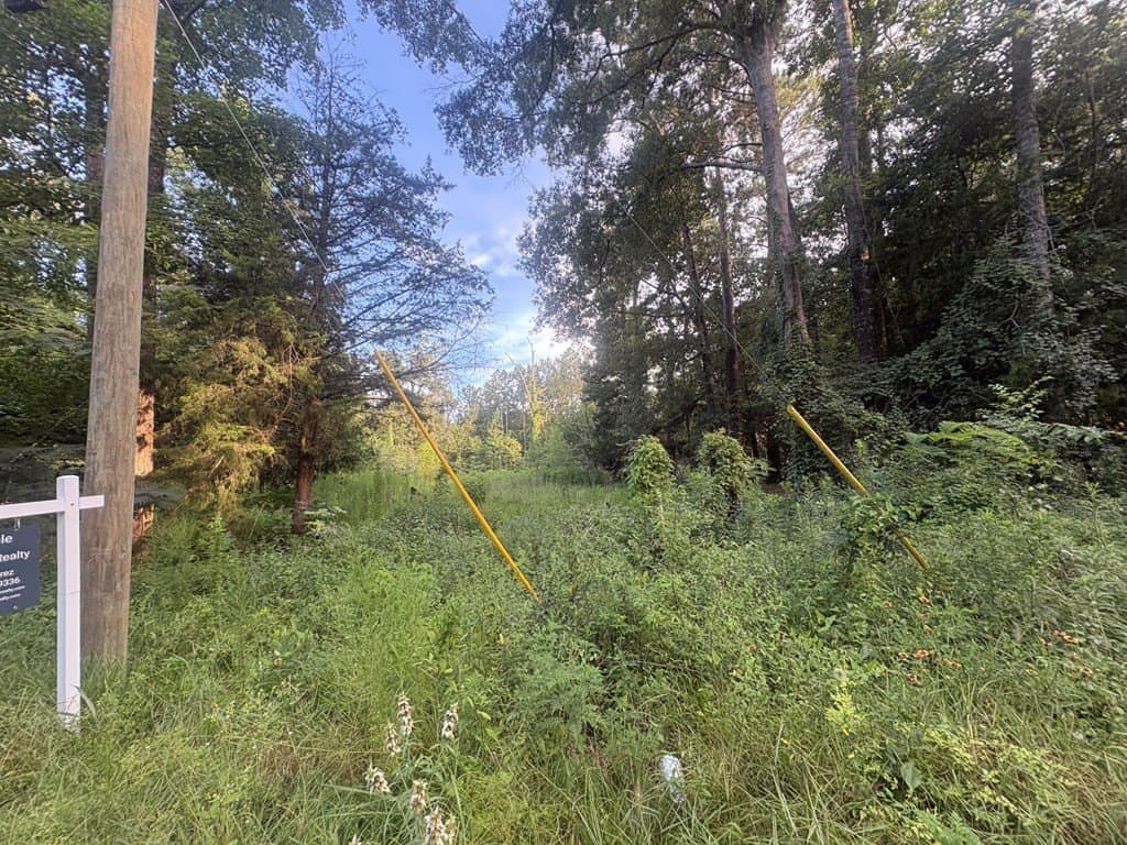 0.57 acres in Texas County - photo 8