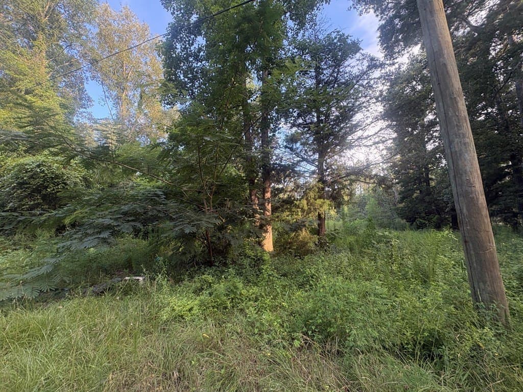 0.57 acres in Texas County gallery image 2