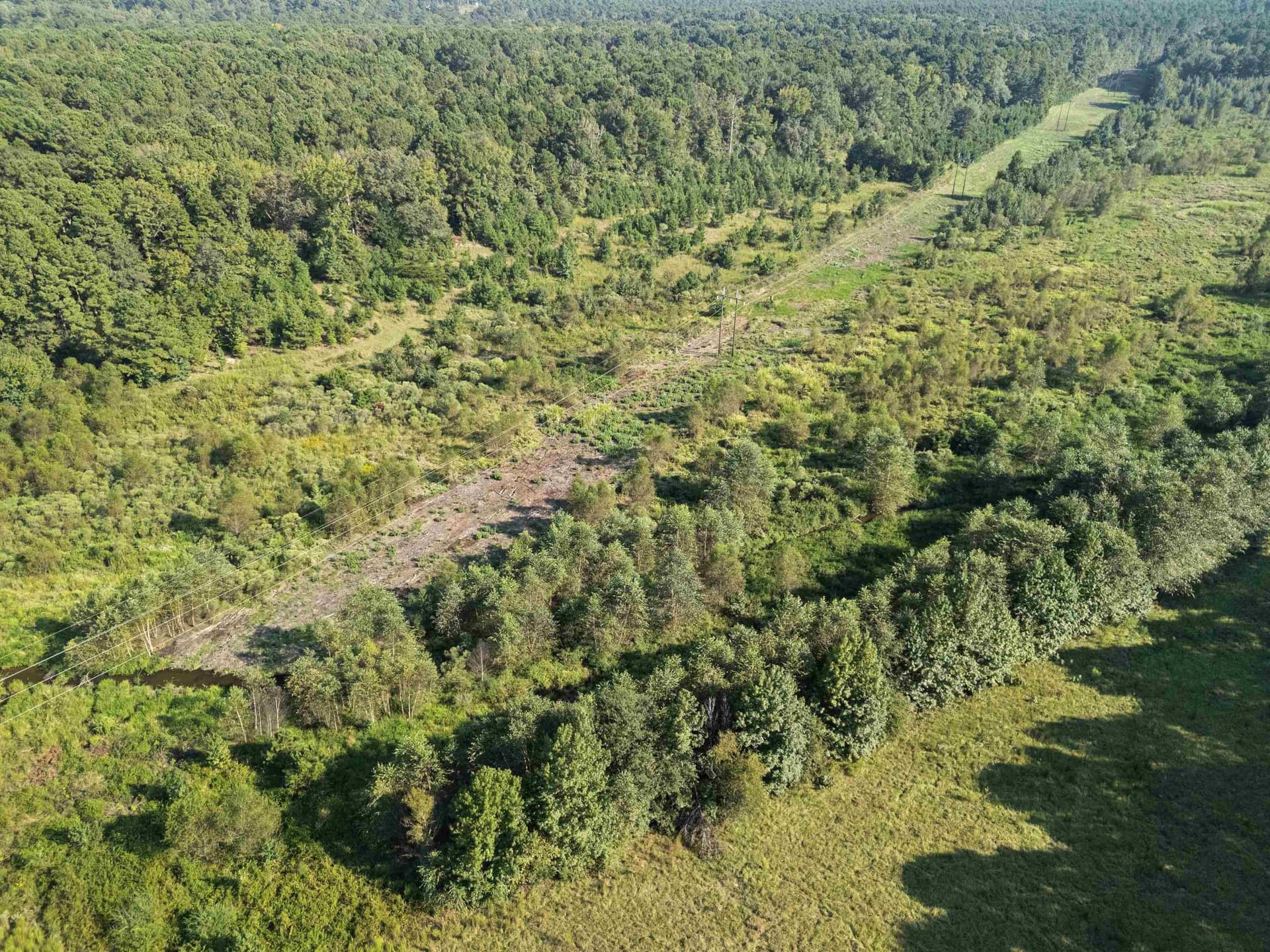 93.7 acres in Texas County - photo 10