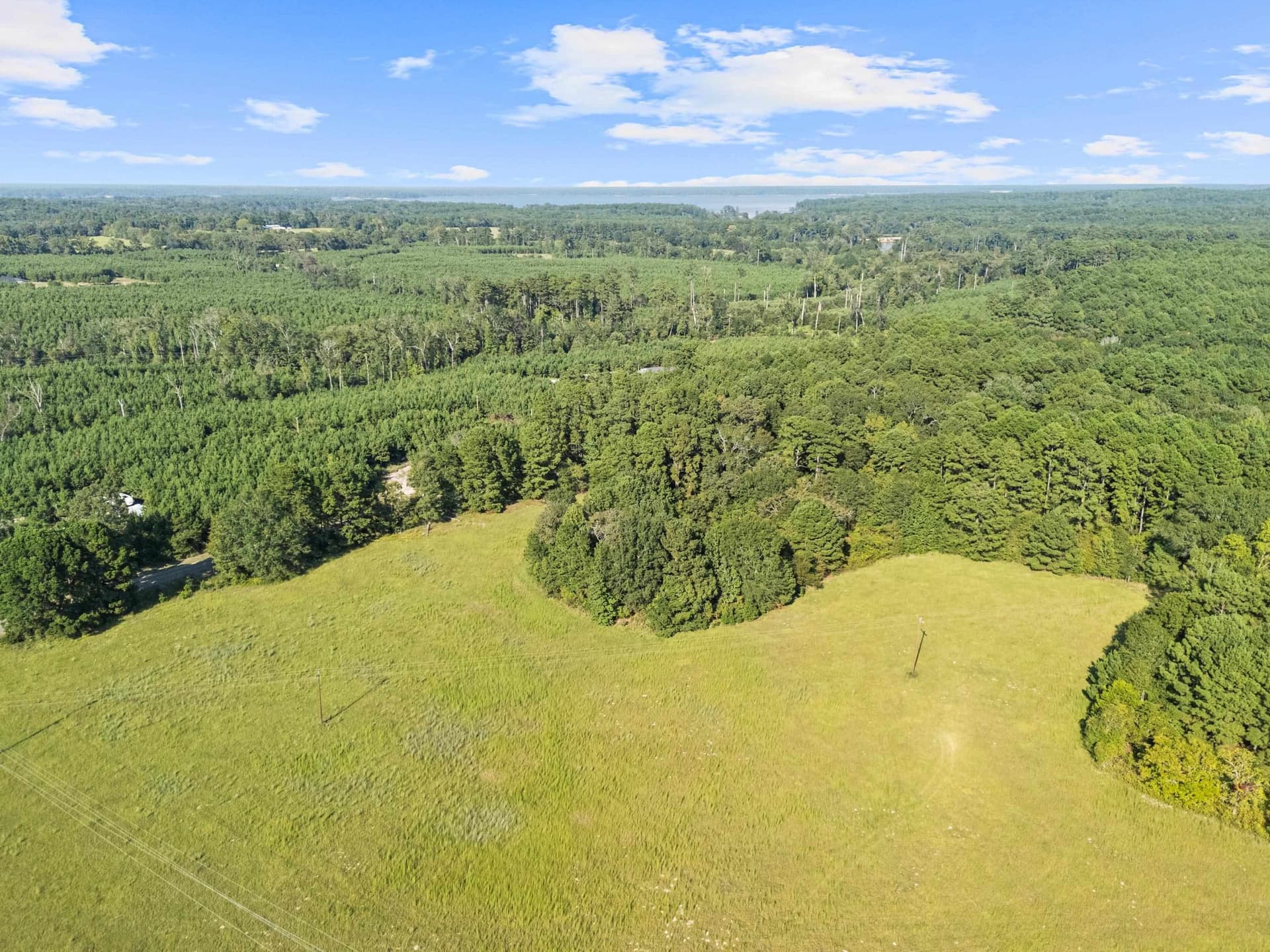 93.7 acres in Texas County - photo 19