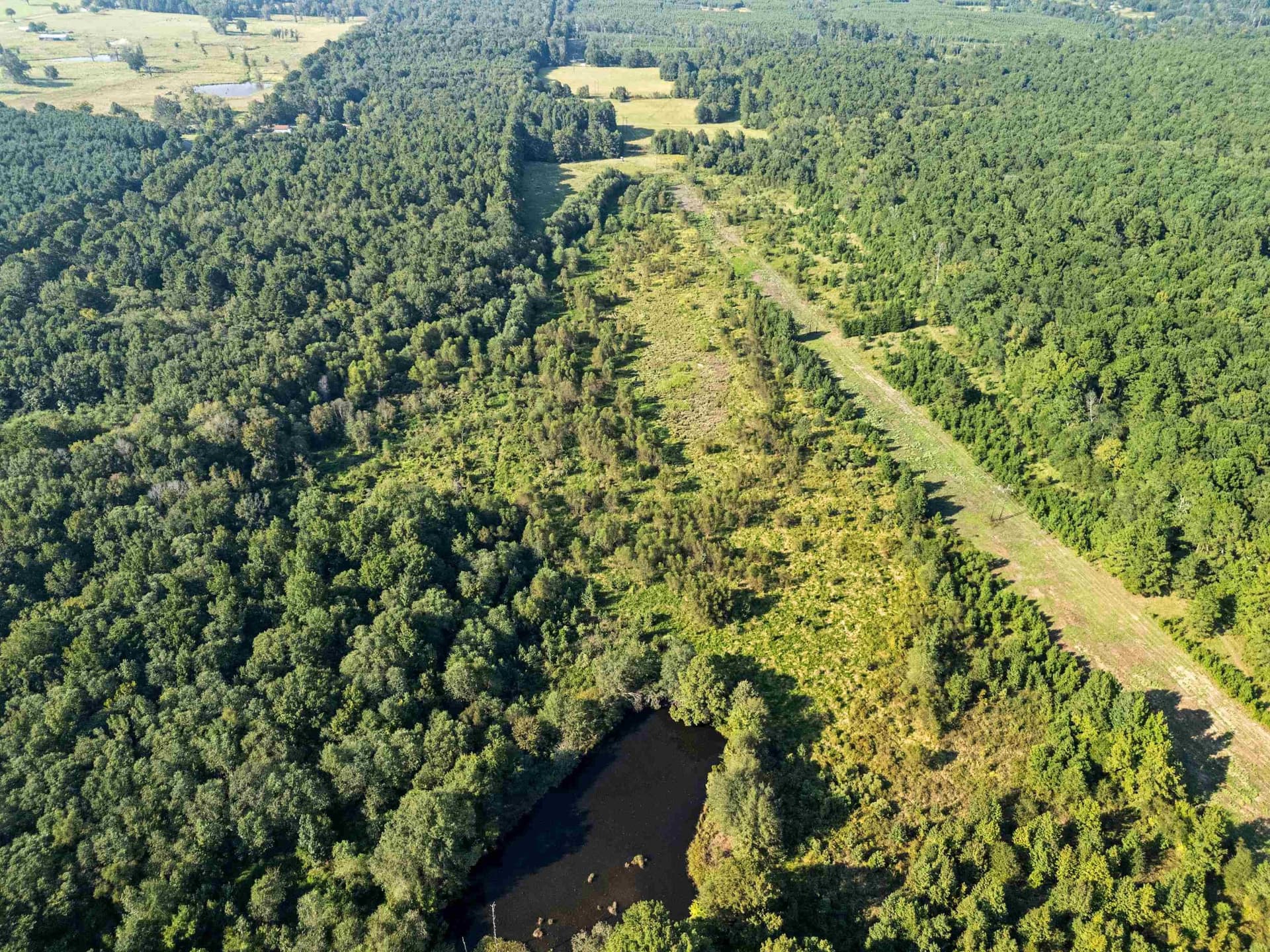 93.7 acres in Texas County - photo 16