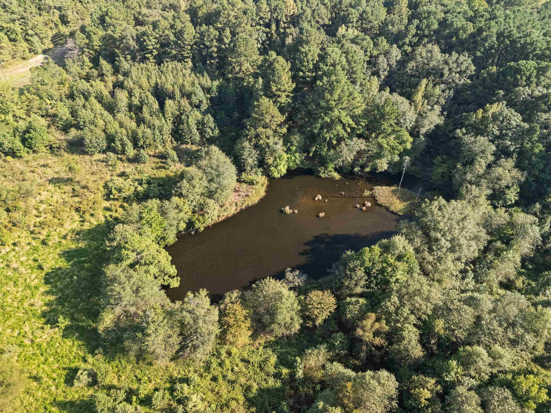 93.7 acres in Texas County - photo 11