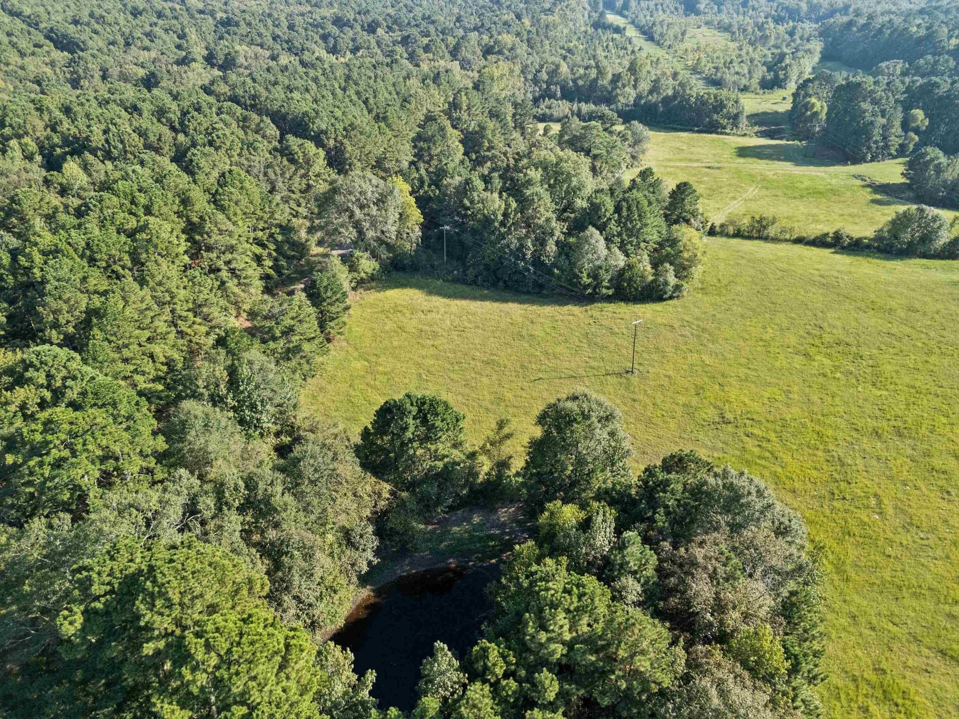 93.7 acres in Texas County - photo 28