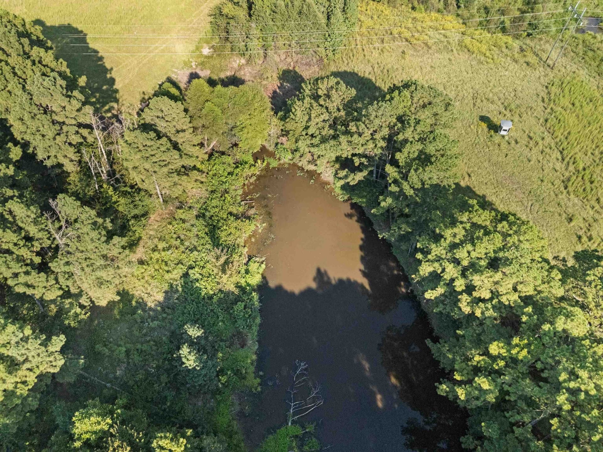 93.7 acres in Texas County - photo 23