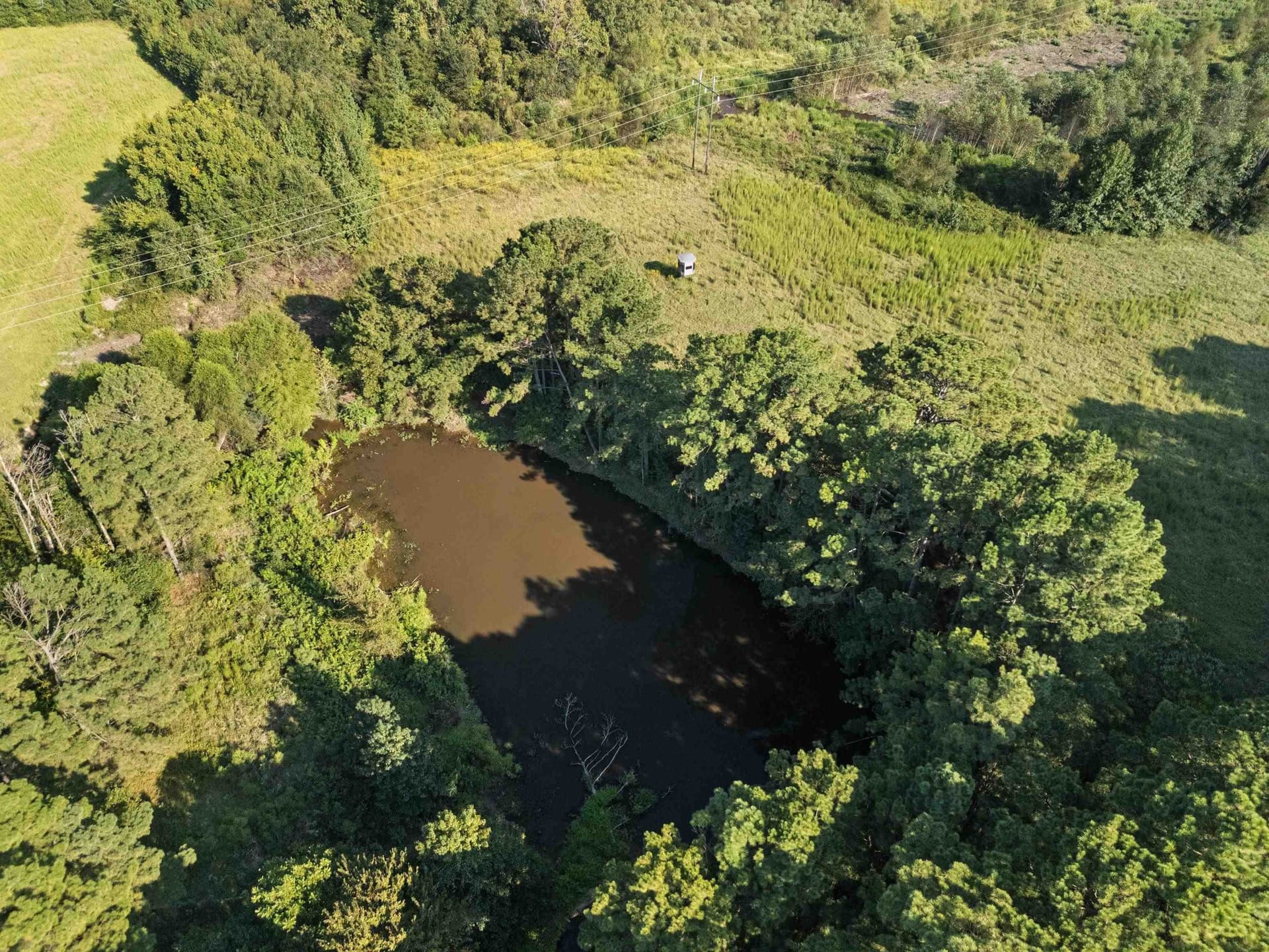 93.7 acres in Texas County - photo 8