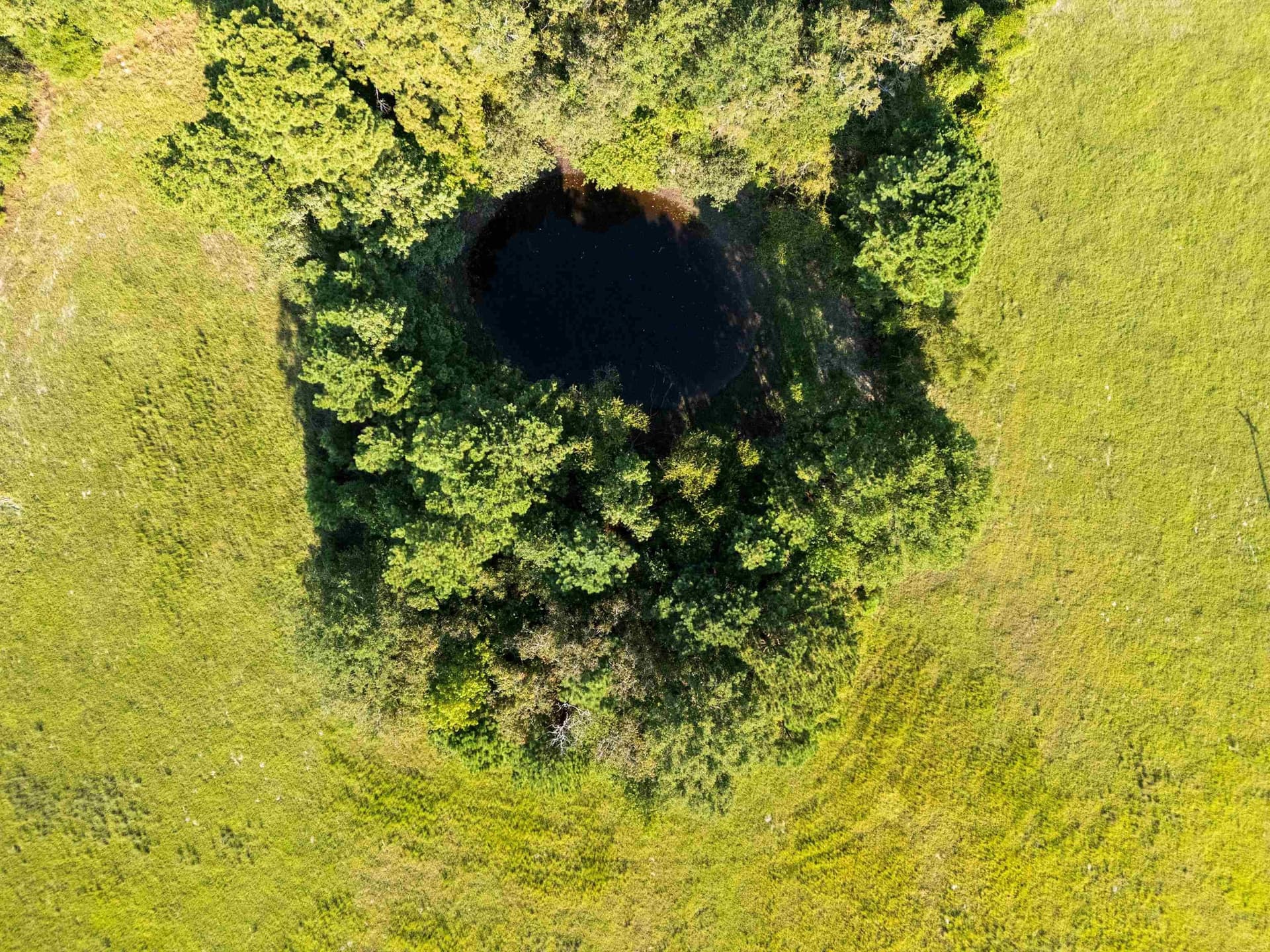 93.7 acres in Texas County - photo 22