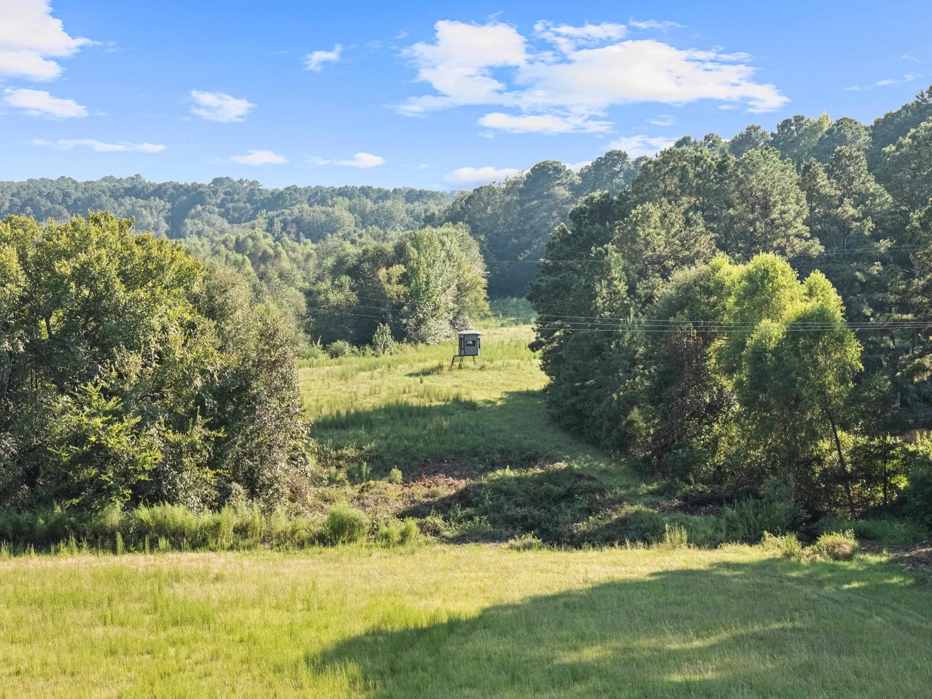 93.7 acres in Texas County - photo 27
