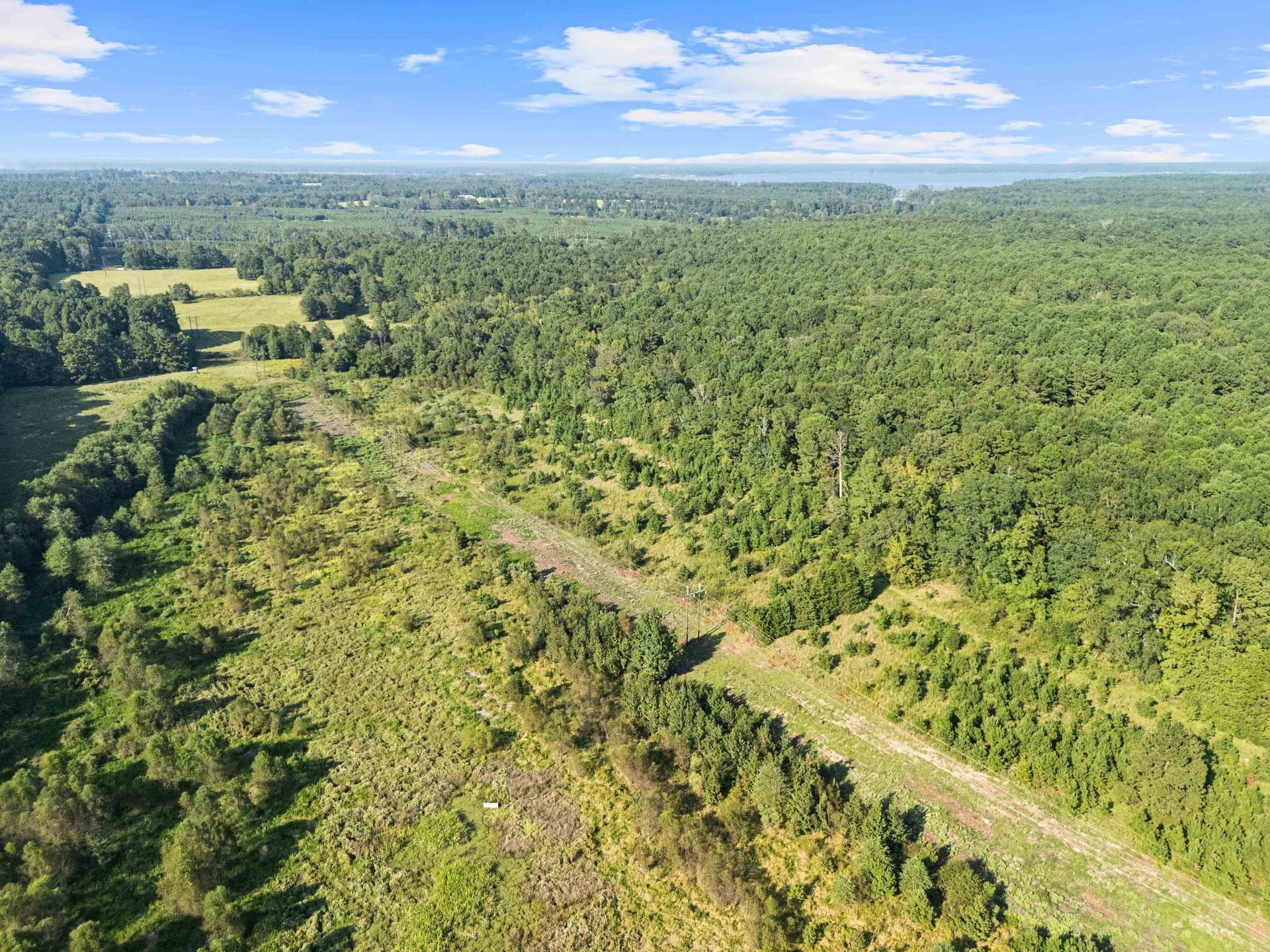 93.7 acres in Texas County - photo 17