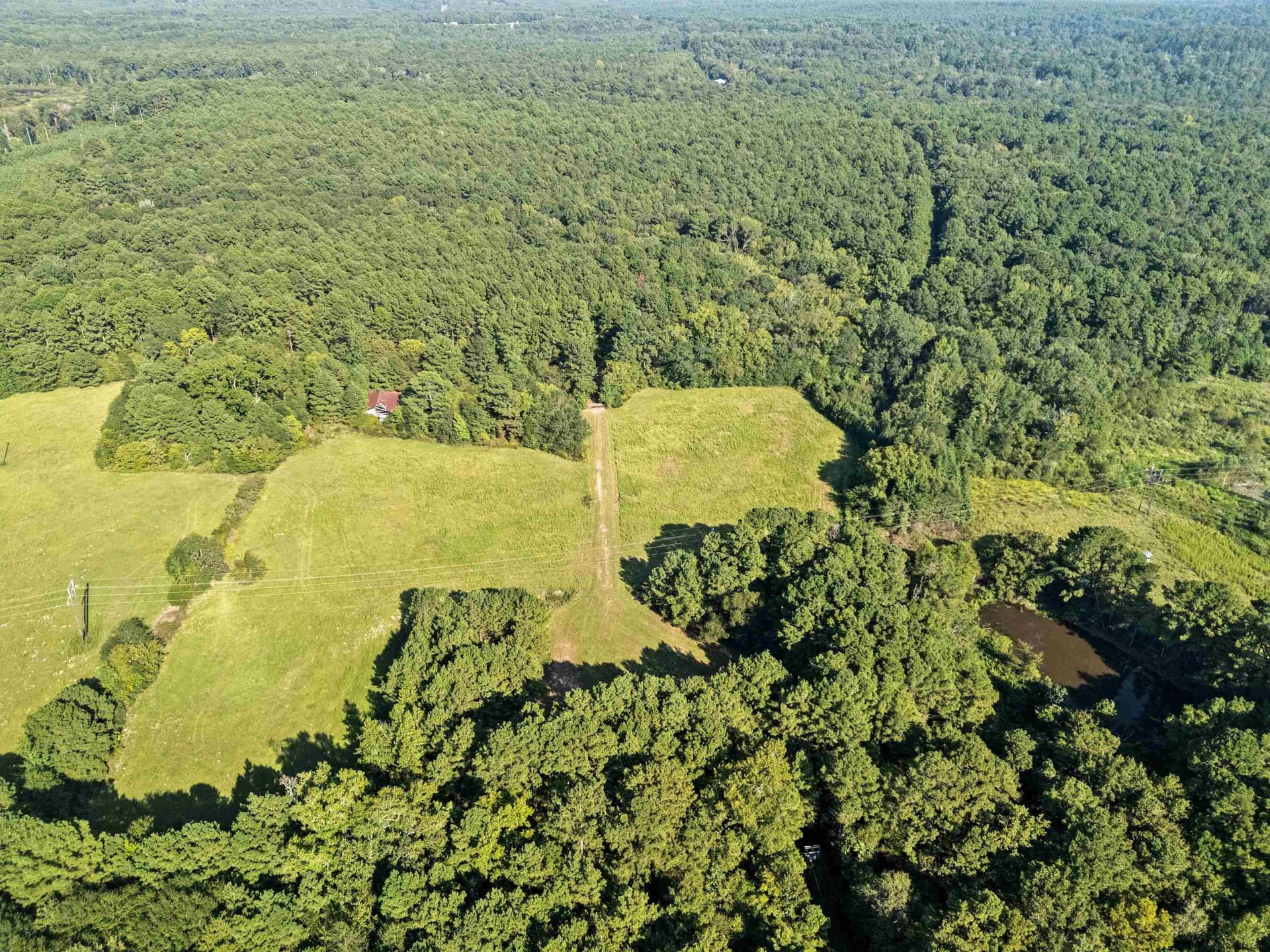 93.7 acres in Texas County - photo 6