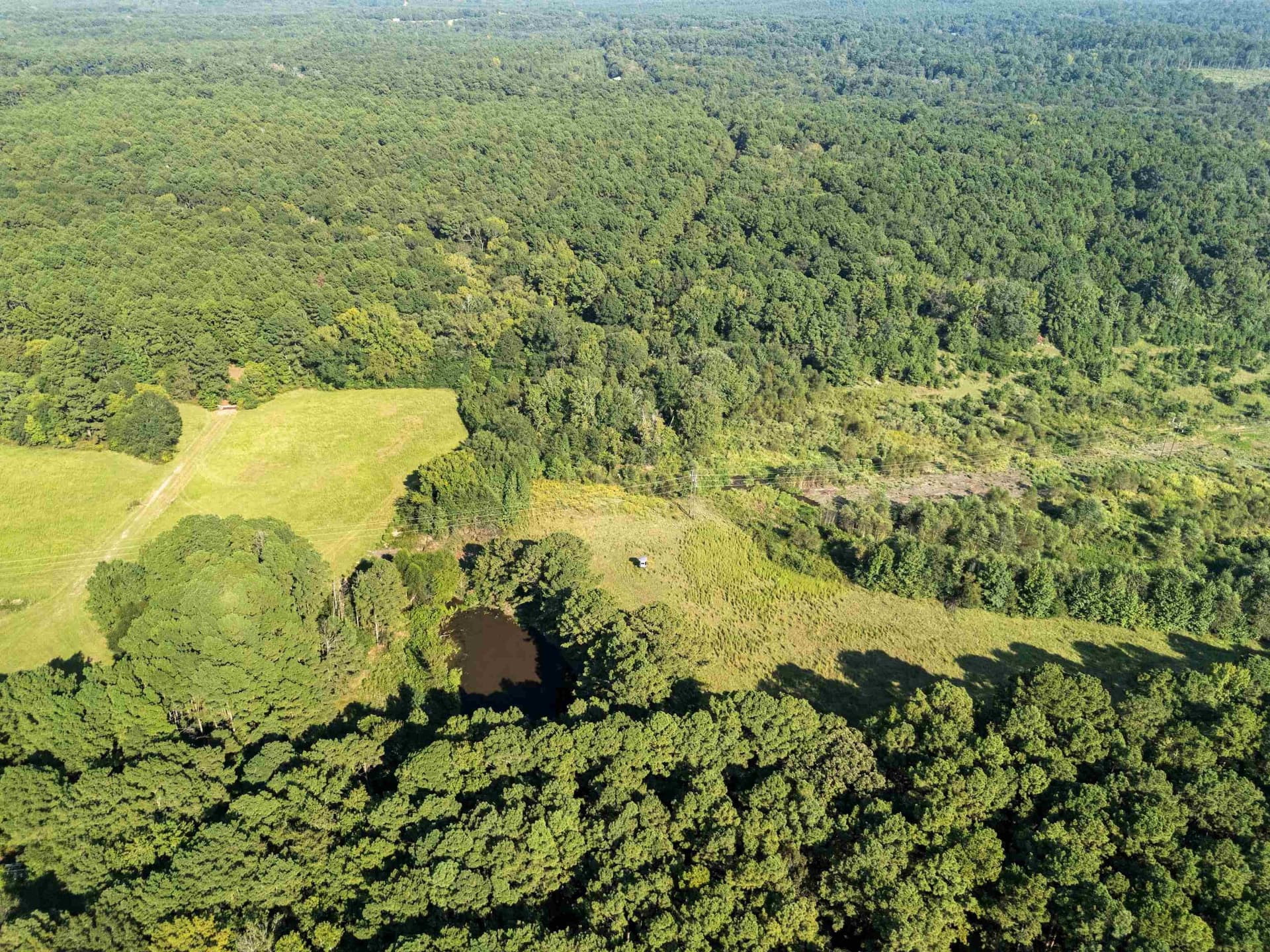 93.7 acres in Texas County - photo 7