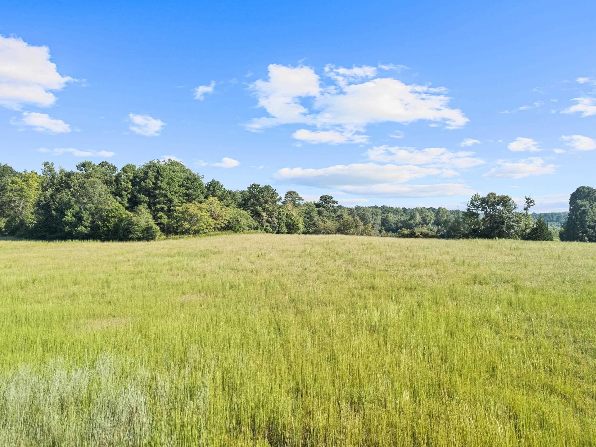 93.7 acres in Texas County - photo 25