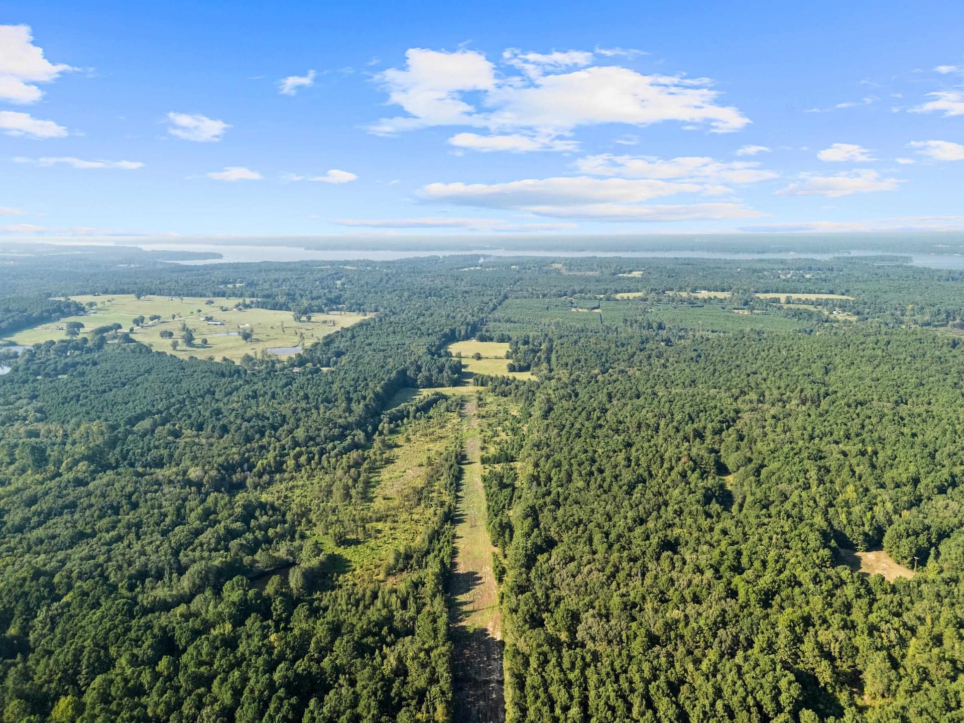 93.7 acres in Texas County - photo 15