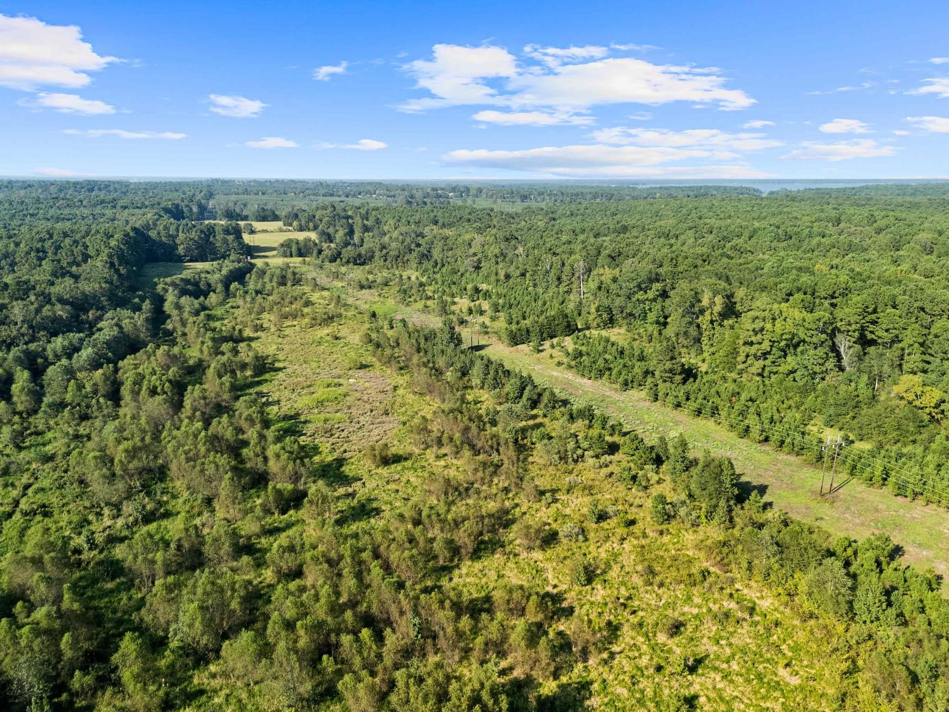 93.7 acres in Texas County - photo 14