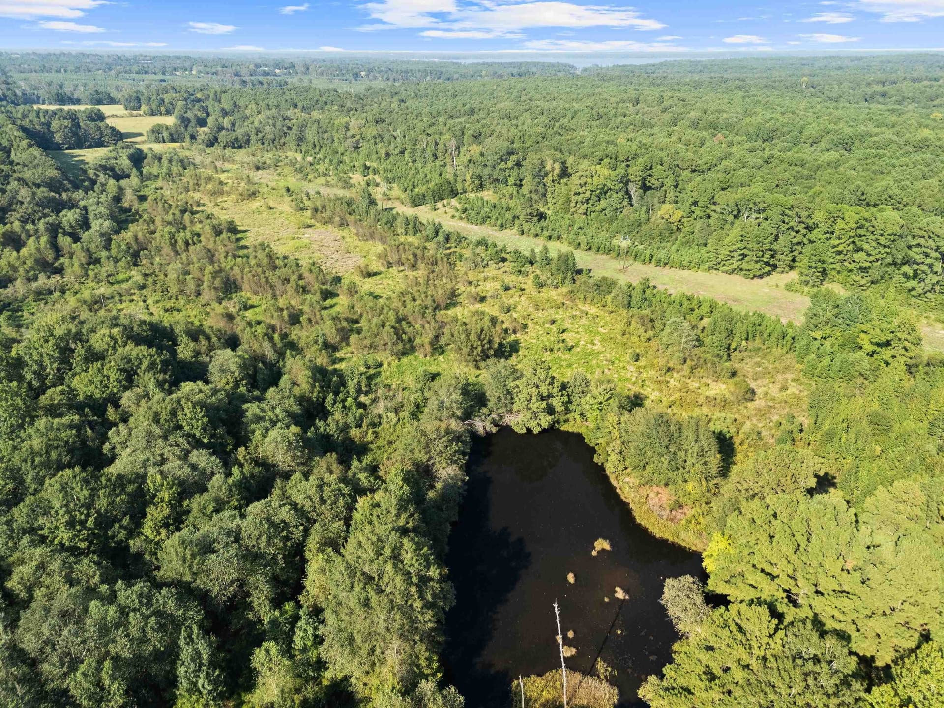 93.7 acres in Texas County - photo 12