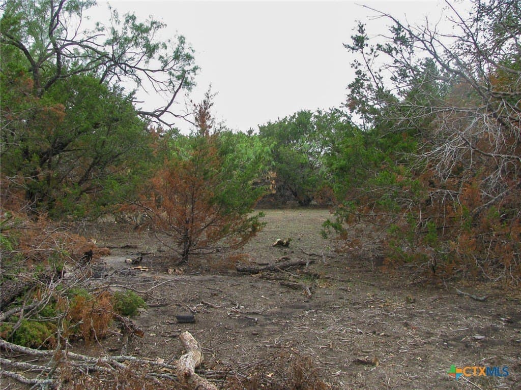 10.01 acres in Hamilton County - photo 4
