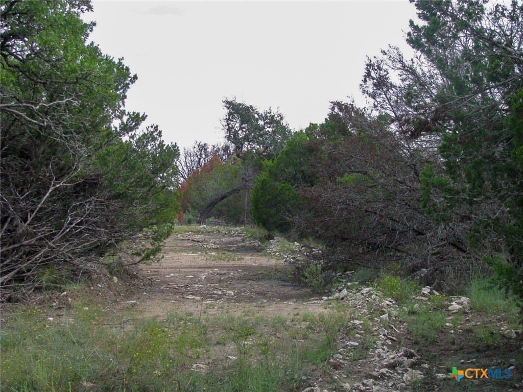 10.01 acres in Hamilton County - photo 14