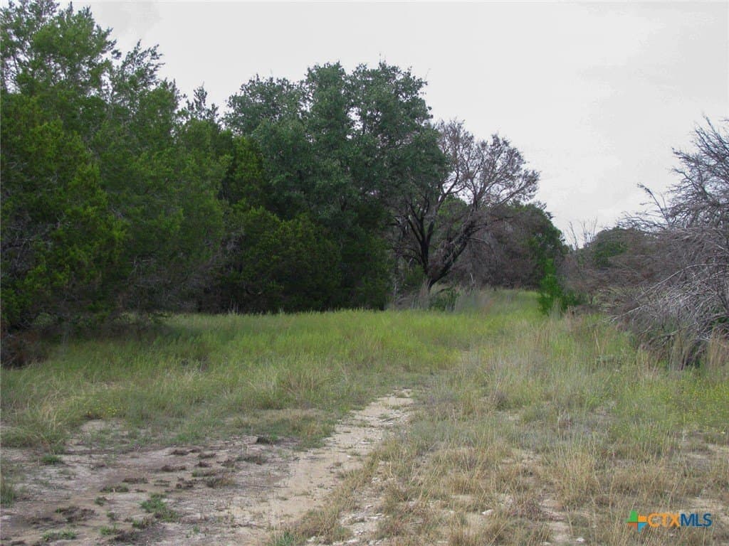 10.01 acres in Hamilton County - photo 10