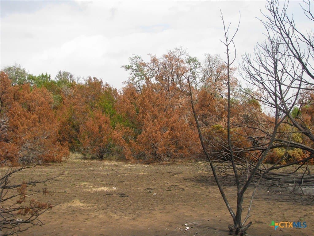 10.01 acres in Hamilton County - photo 16