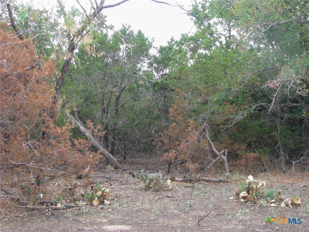 10.01 acres in Hamilton County - photo 7