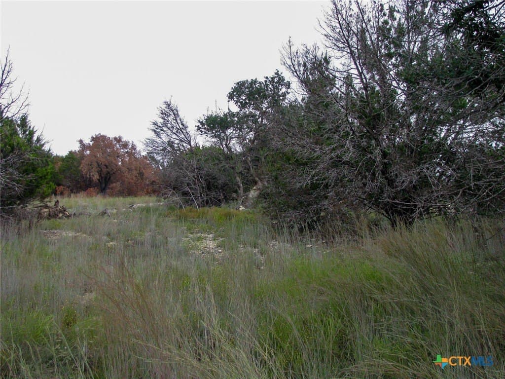10.01 acres in Hamilton County - photo 2