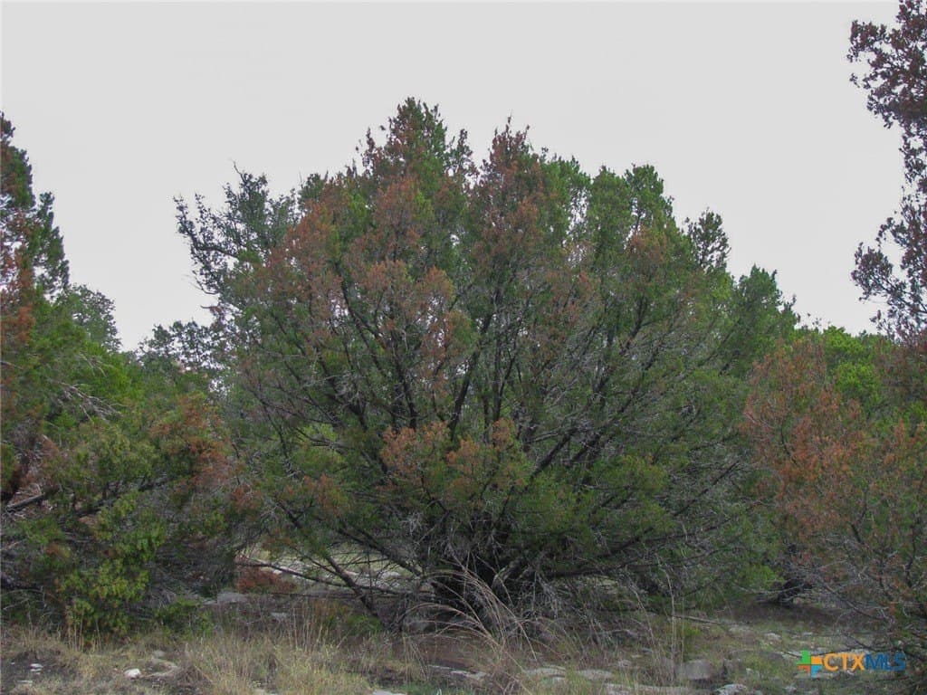 10.01 acres in Hamilton County - photo 18