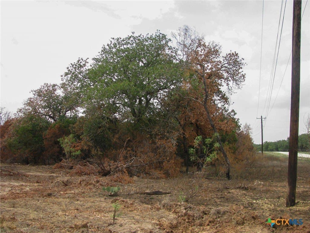 10.01 acres in Hamilton County - photo 9