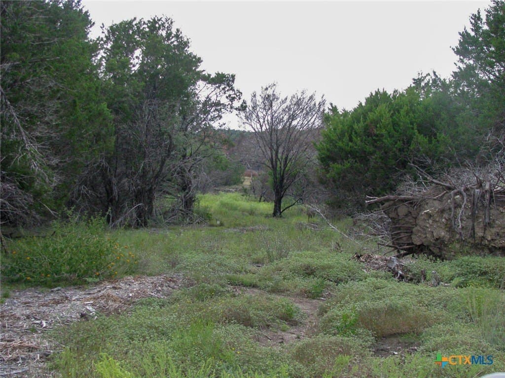 10.01 acres in Hamilton County - photo 12