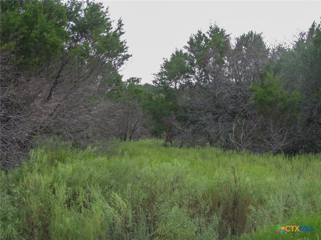 10.01 acres in Hamilton County - photo 13