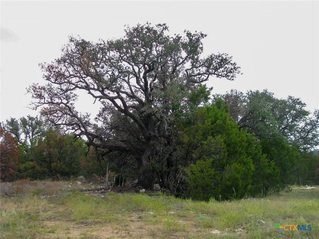 10.01 acres in Hamilton County - photo 17