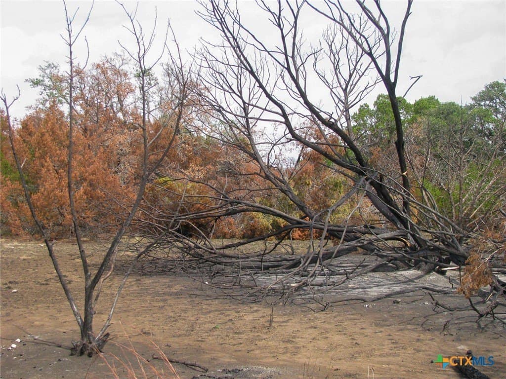 10.01 acres in Hamilton County - photo 15