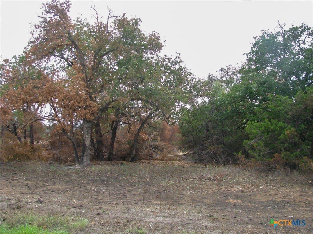 10.01 acres in Hamilton County - photo 8
