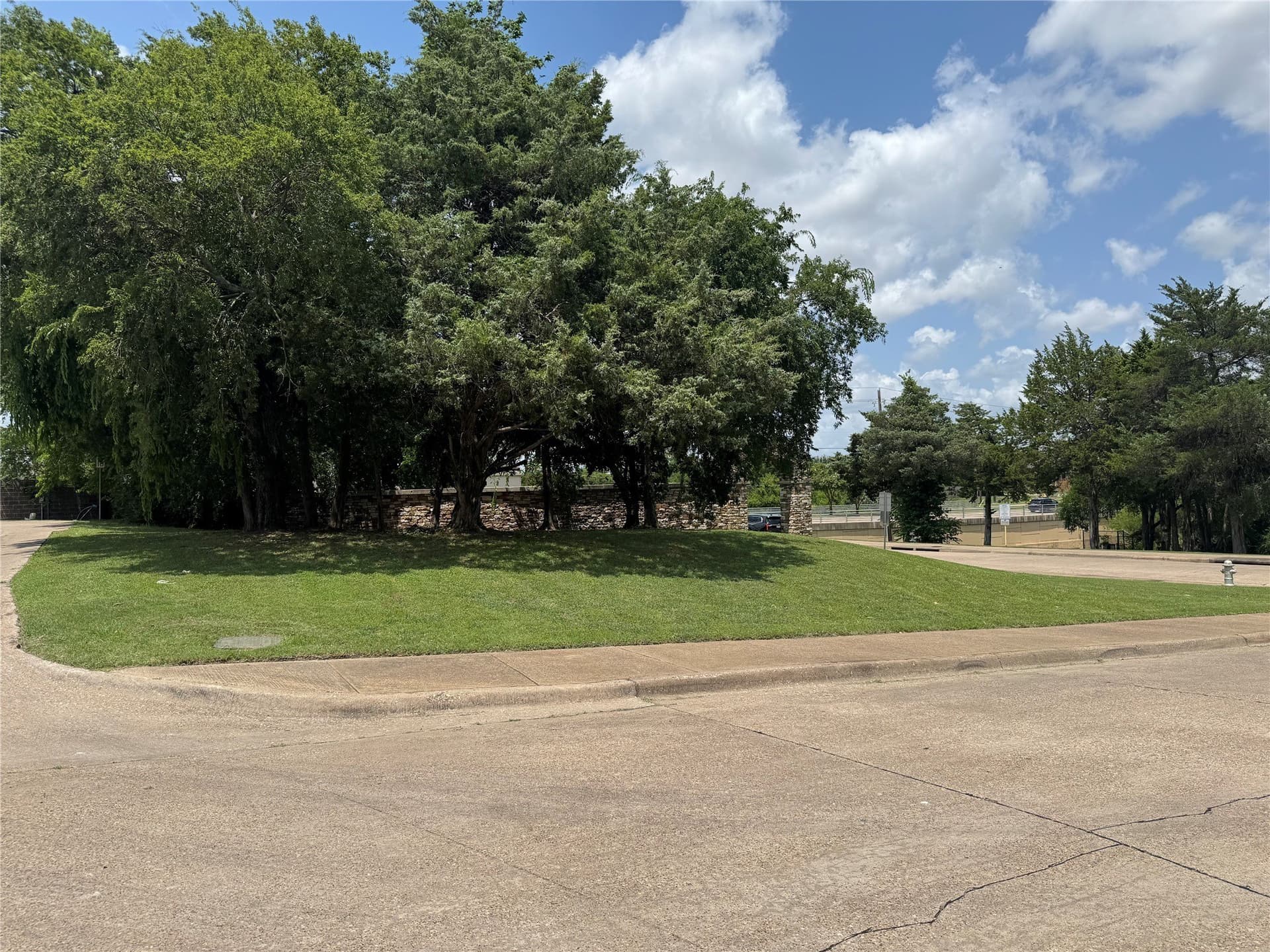 0.22 acres in Dallas County - photo 10