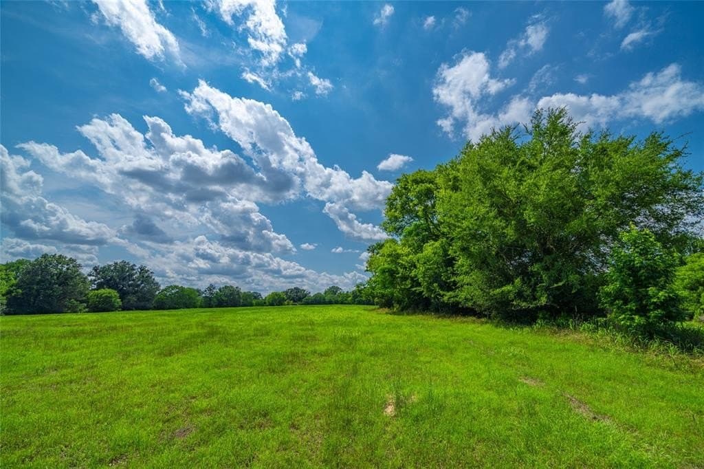 120 acres in Nacogdoches County gallery image 4